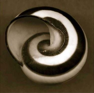 Design in Harmony - How Nature Shapes Timeless, Sustainable Fashion